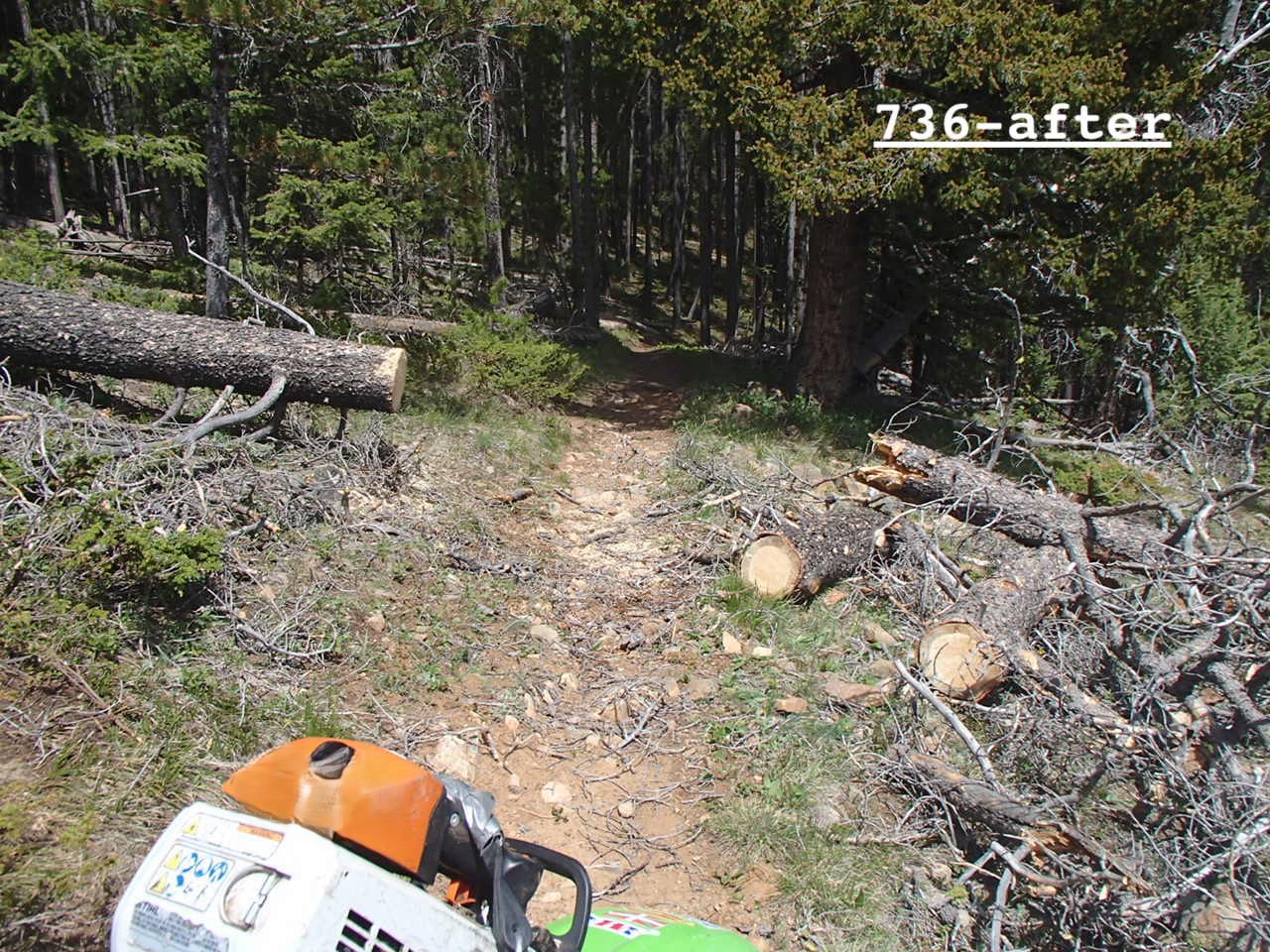 Trails update 6/21/2025