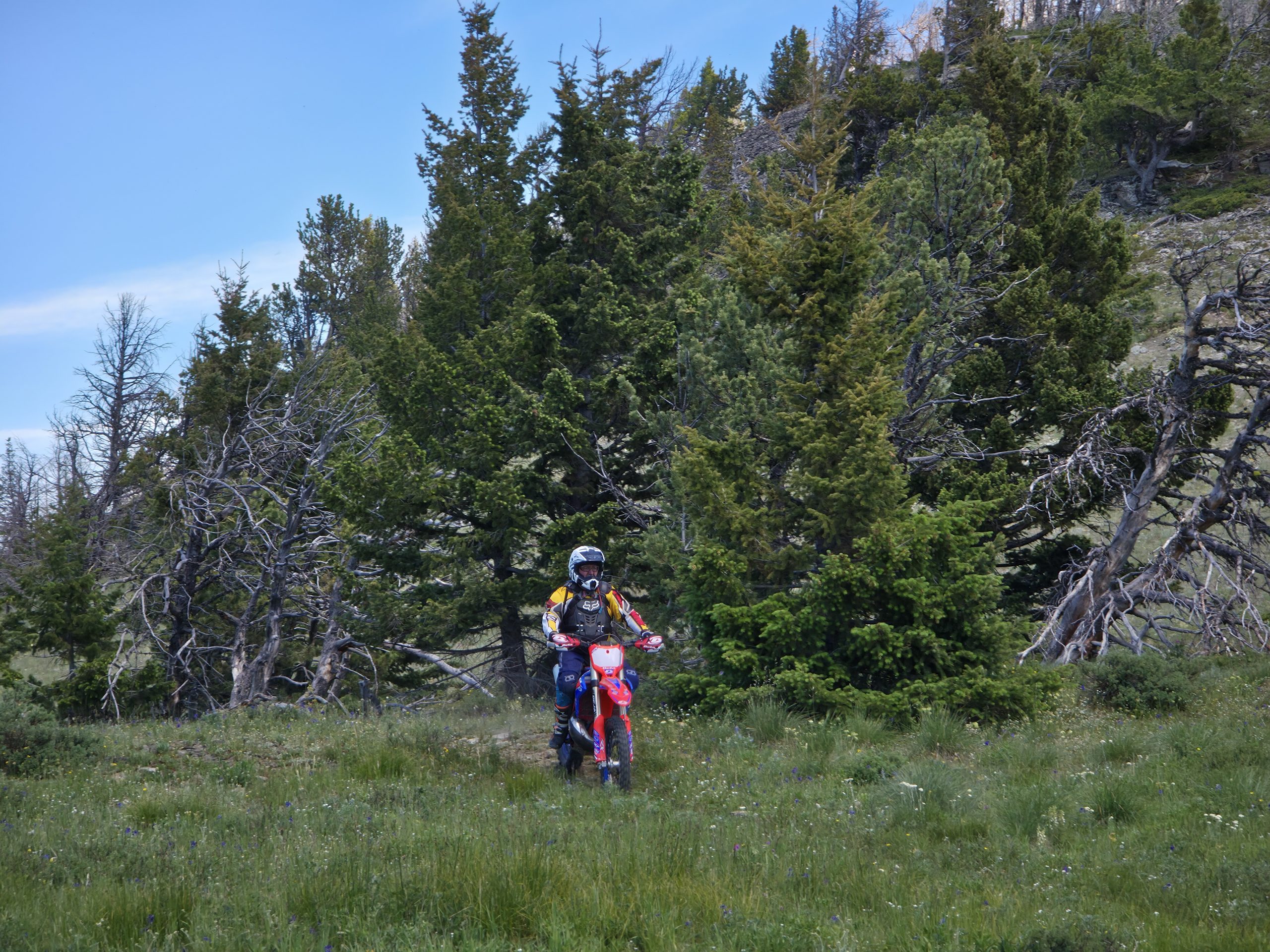 Trails update July 1st