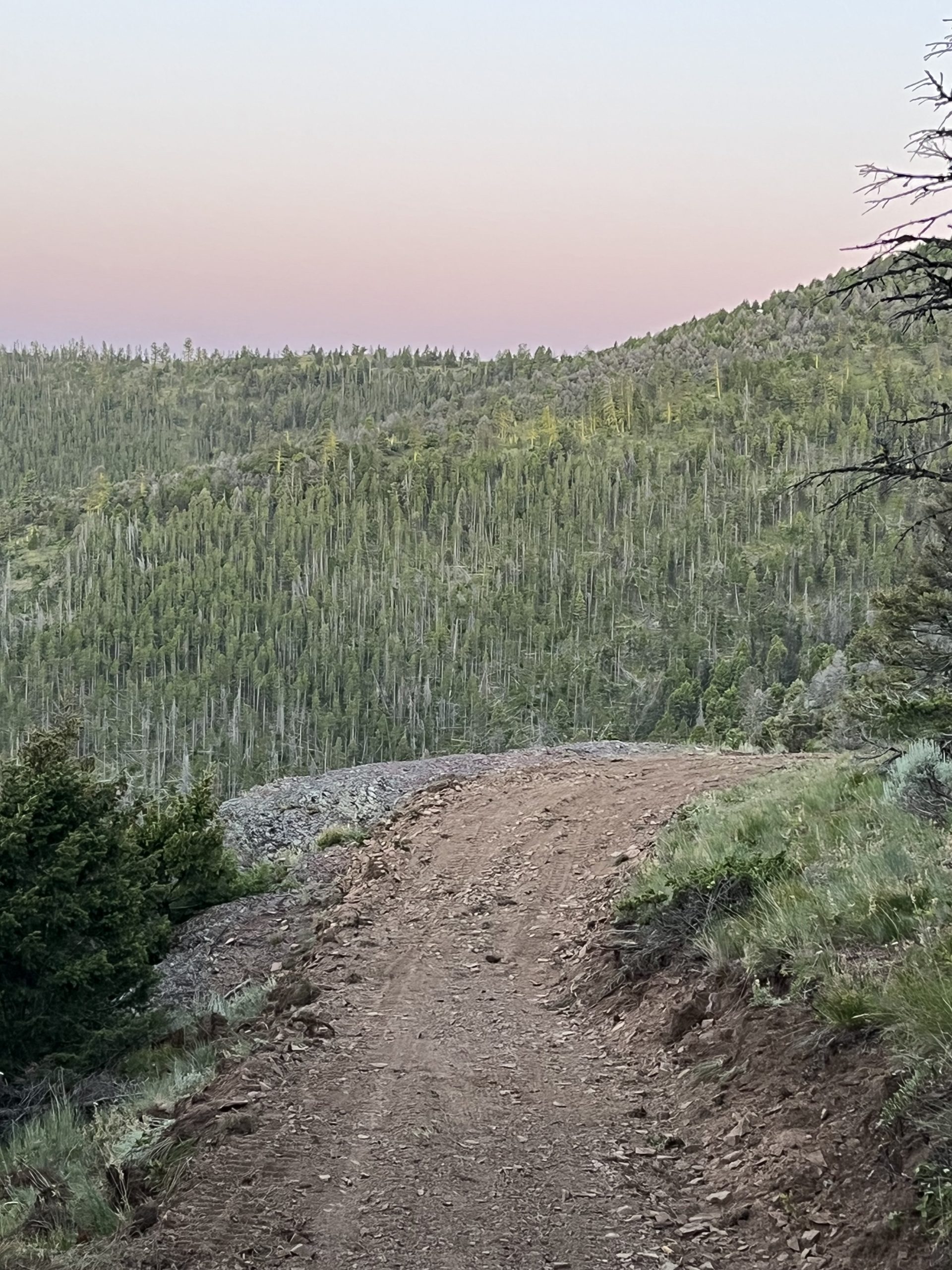 Lincoln Mechanized Trail Repair & trail updates