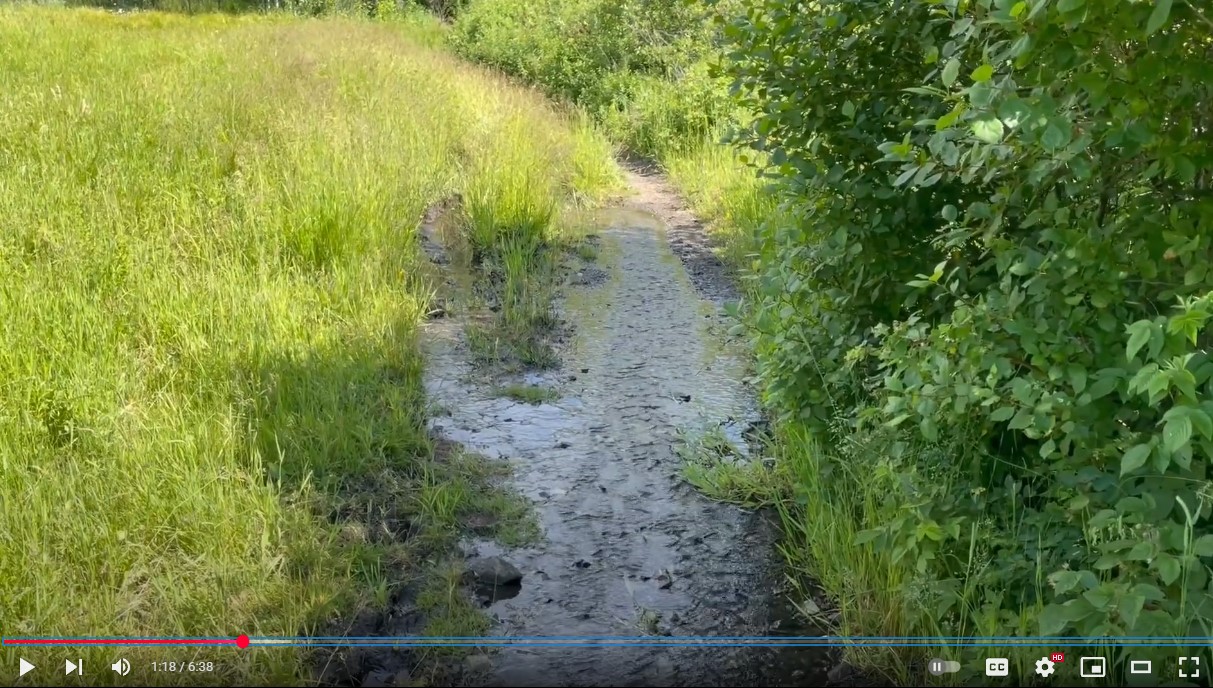 Tread repair & water runoff routing