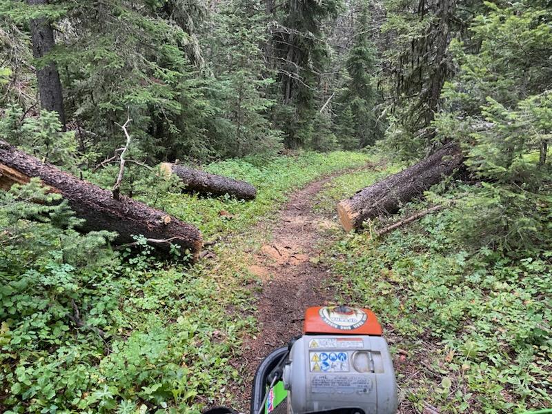 Deep Creek trail 316