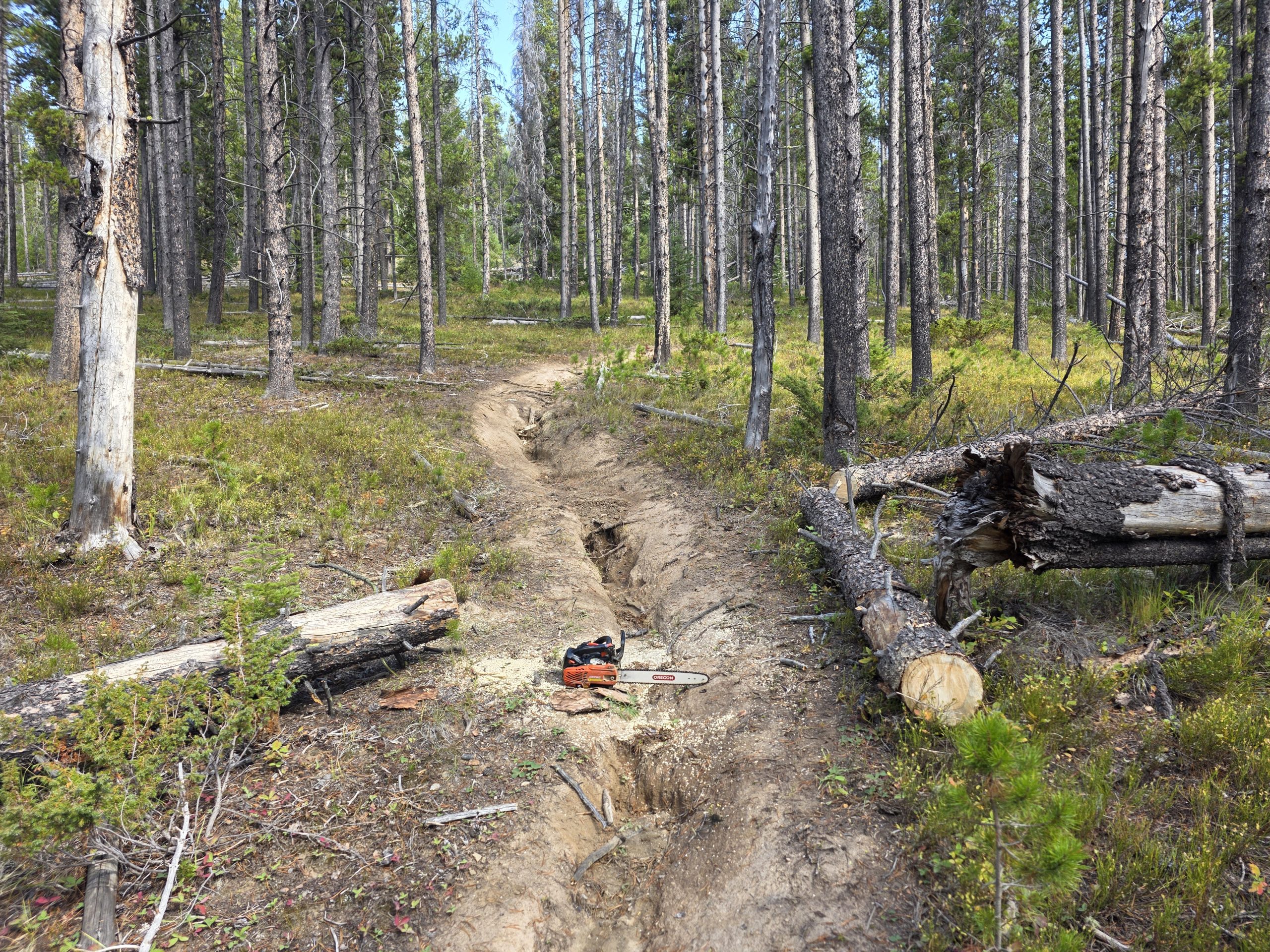 Little Belts trail clearing continues