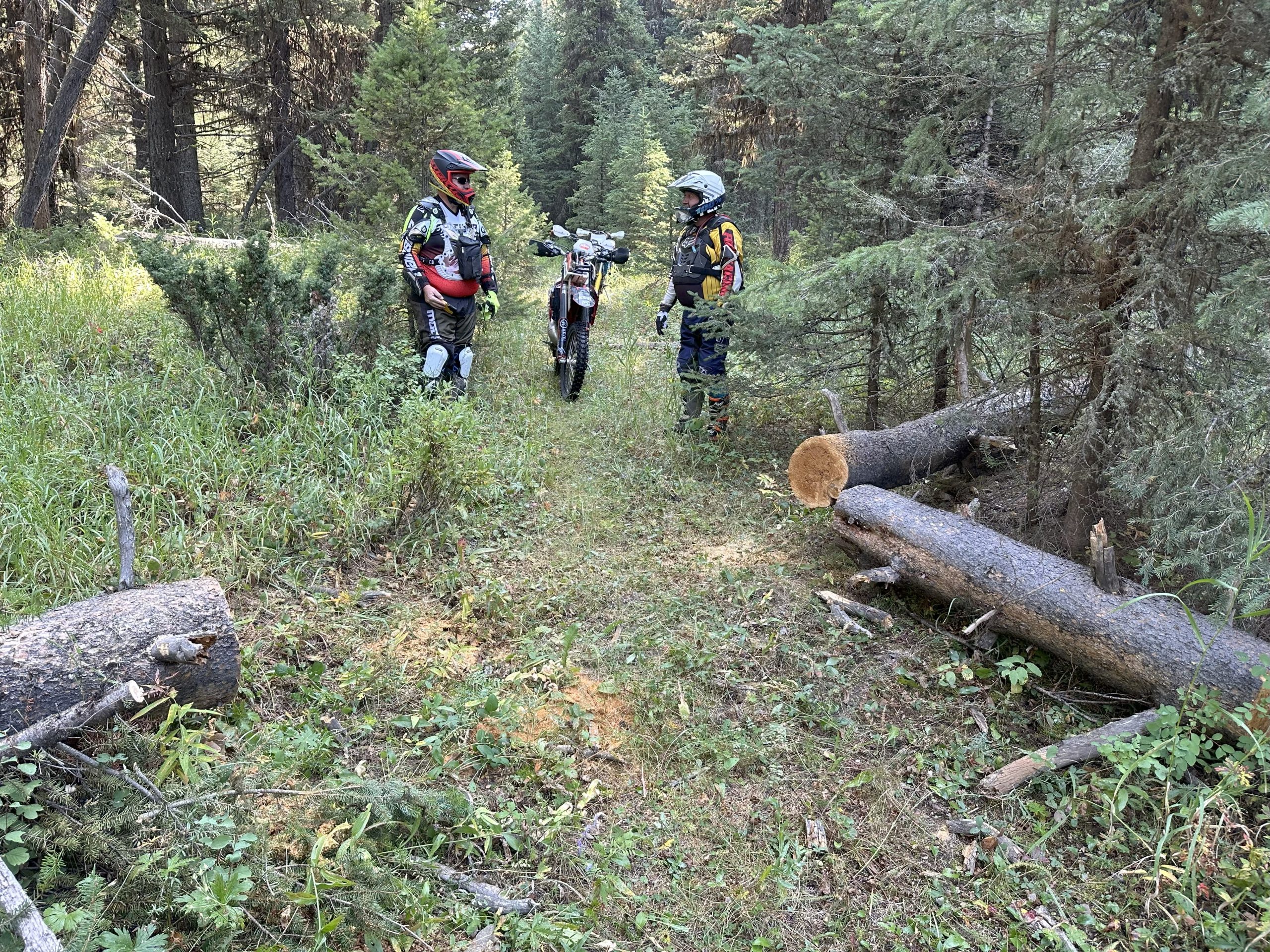 Late Season Little Belts
