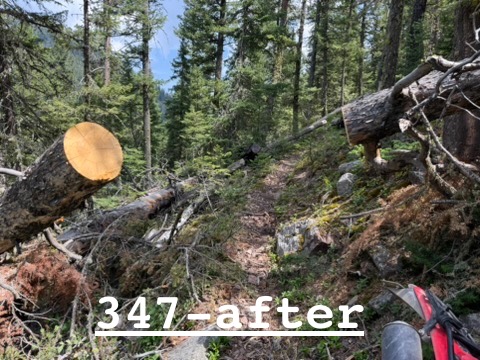 Little Belts trail clearing continues