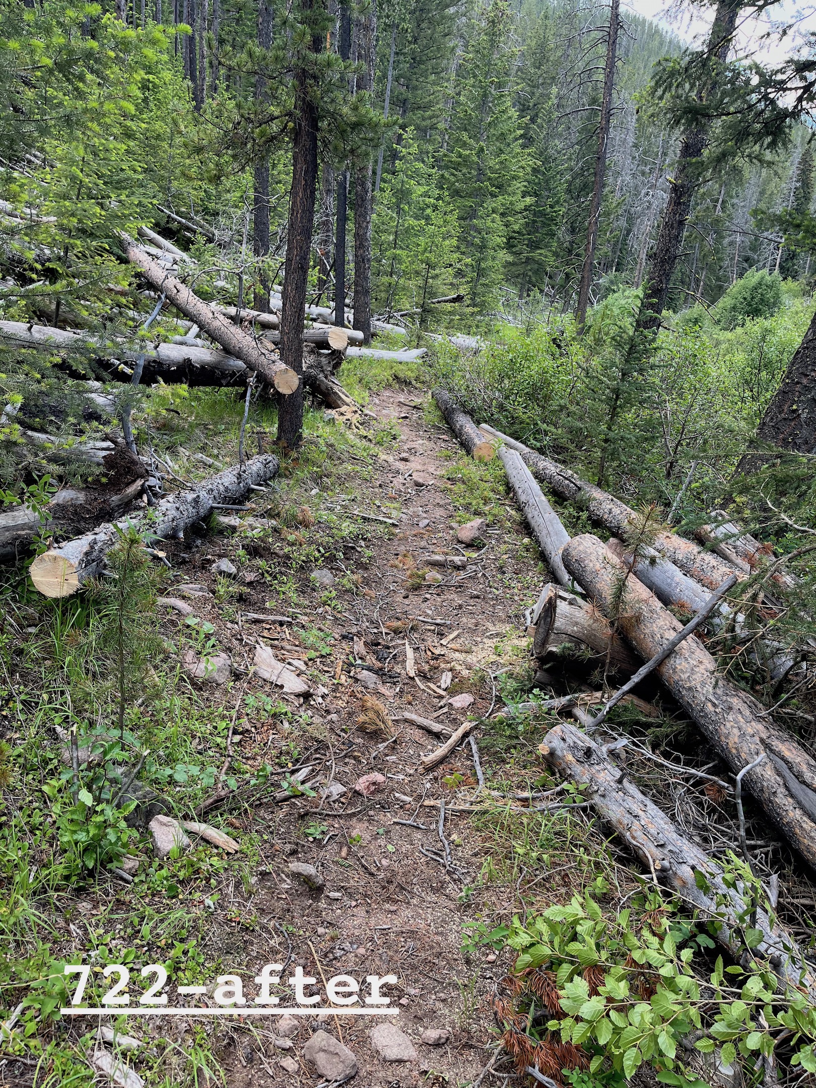 Little Belts & Big Belts trail maintenance